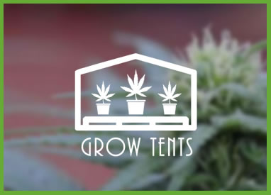 Shop Marijuana Grow Tents